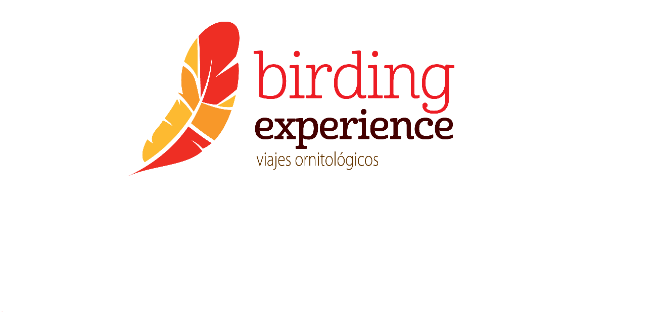 Birding experience